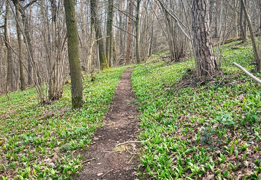 23-03-17 11-32-03 4891